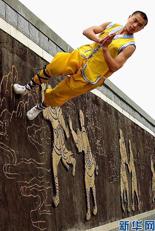 shaolin tai chi